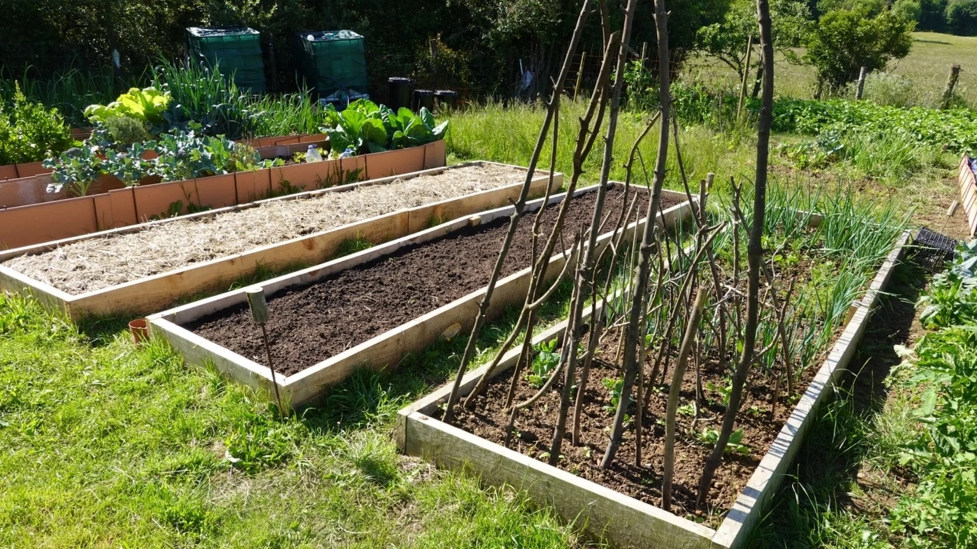 Трябва ли да покривате повдигнатите лехи през зимата? 