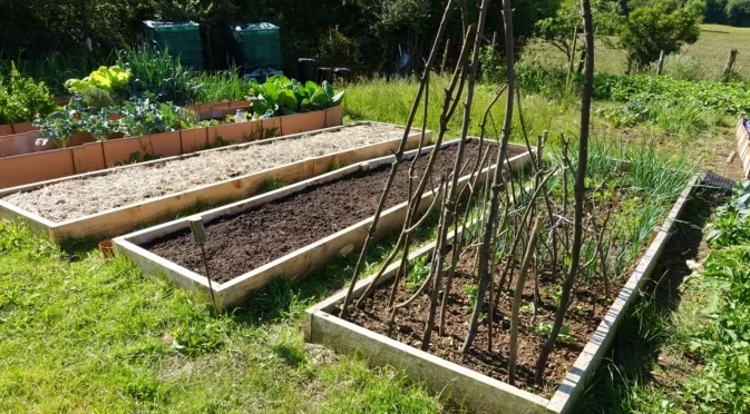 Трябва ли да покривате повдигнатите лехи през зимата? 