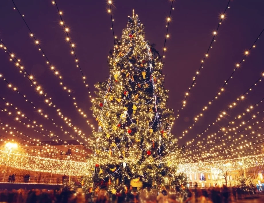 Грейна най-високото коледно дърво в света (ВИДЕО)