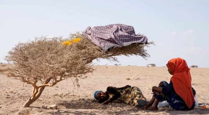 Глад е надвиснал над Нигерия