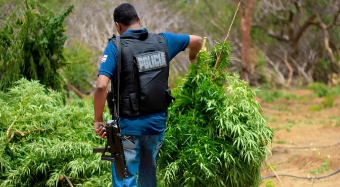 Помниш ли, когато джойнта беше левче...