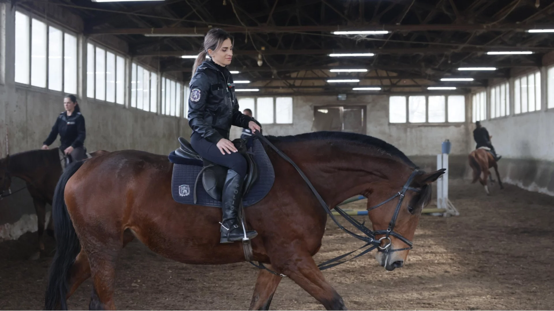 Край на службата: МВР продава 11 коня на търг