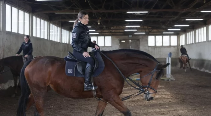Край на службата: МВР продава 11 коня на търг