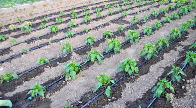 Поливане с отпадни води в селското ни стопанство по нов механизъм: Скоро ще е реалност