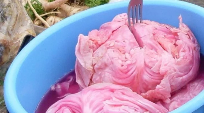 Как правилно да съхранявате кисело зеле у дома?