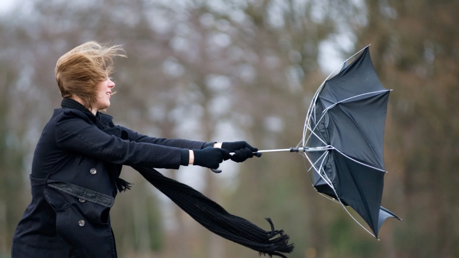 Опасен вятър. Времето утре - 27 ноември 2025 г. (КАРТА)