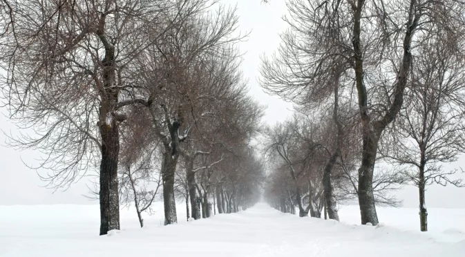 Meteo Balkans за времето през декември: Такова нещо не сме виждали през последните 15 години
