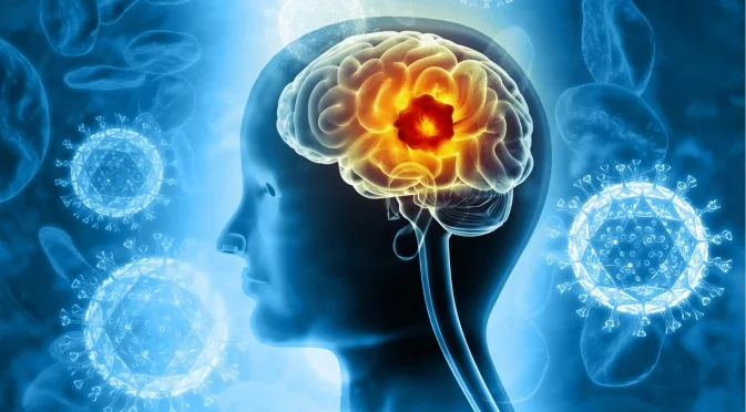 Мозъкът ни мисли като тийнейджър до 30-те: Ново проучване показва кога започва да старее