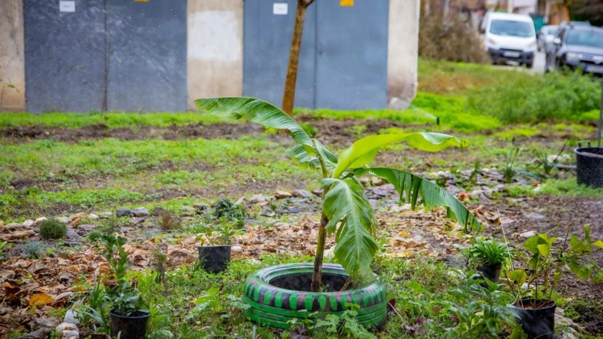 Община Пазарджик завърши следващия етап от цялостната реновация на местния парк