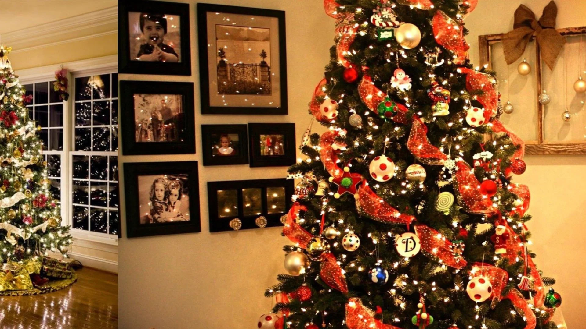 Колко вода е необходима на коледната елха, за да вирее през целия сезон 