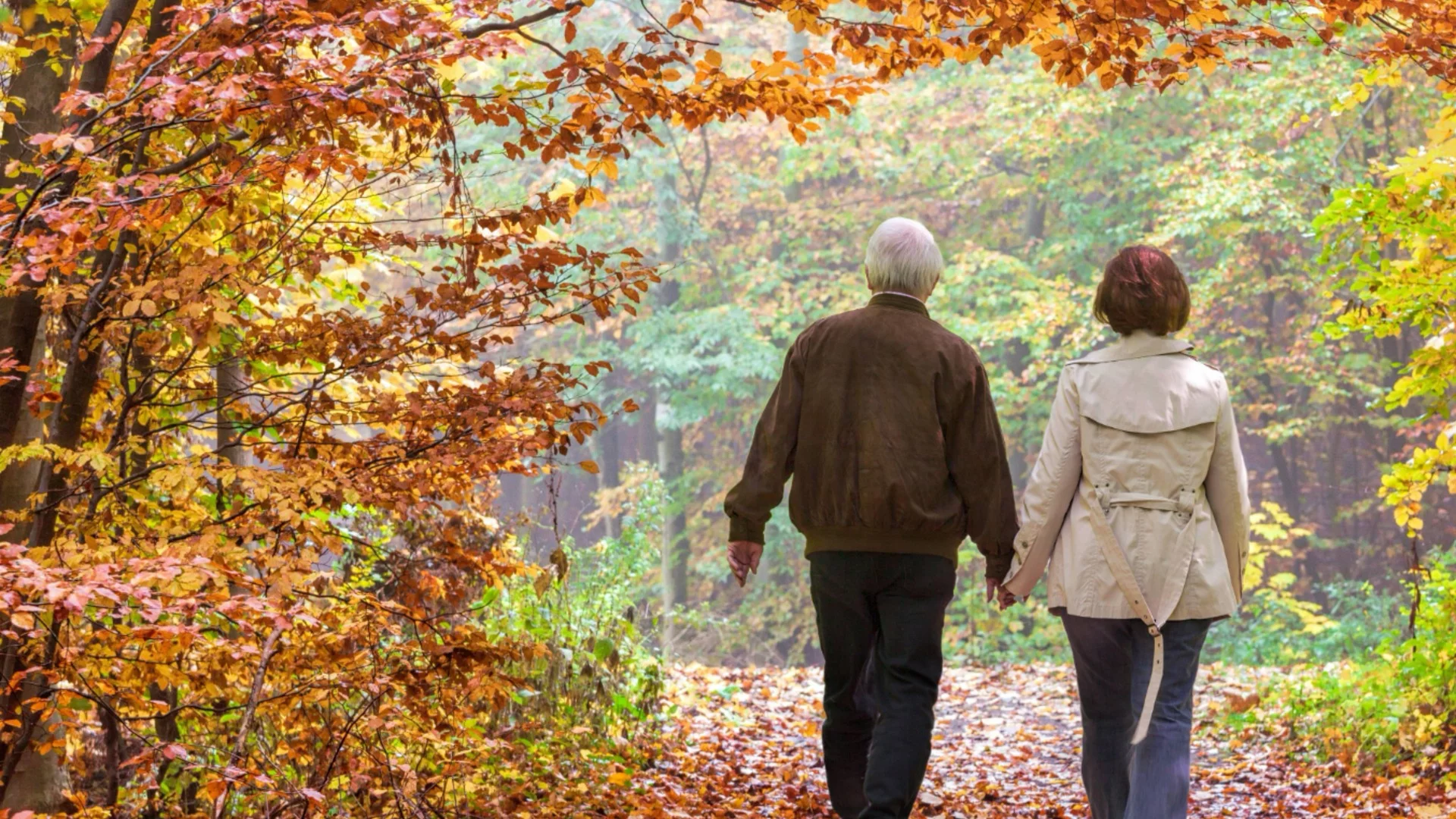 Още една голяма европейска страна се готви да повиши пенсионната възраст до 70 години