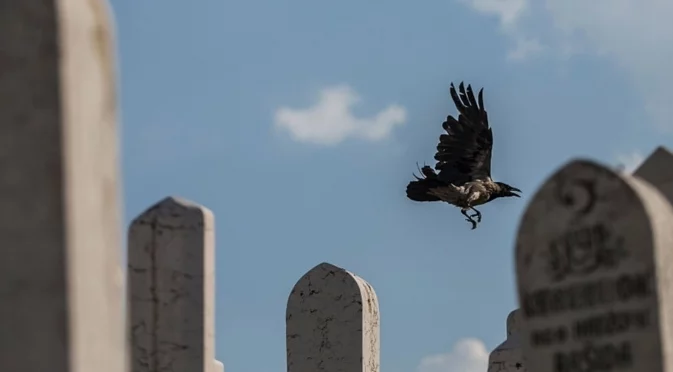 Руската следа в Сараевското сафари