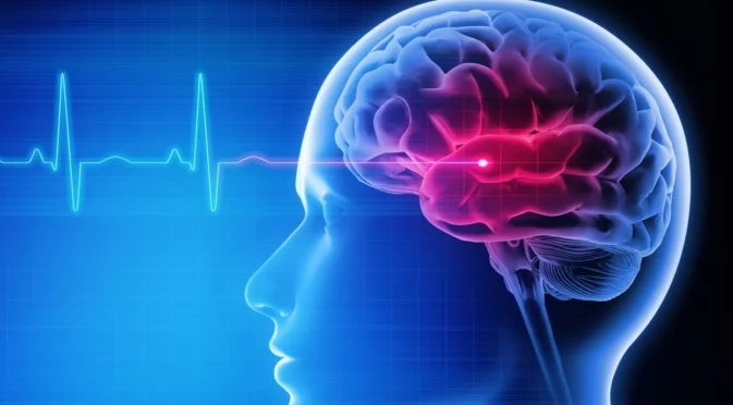 Еликсир за мозъка: Този зеленчук помага за когнитивните ви функции