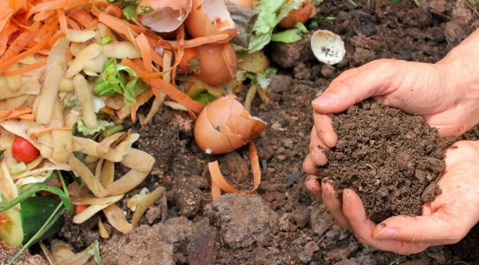 Как да превърнете хранителните остатъци в градинско злато