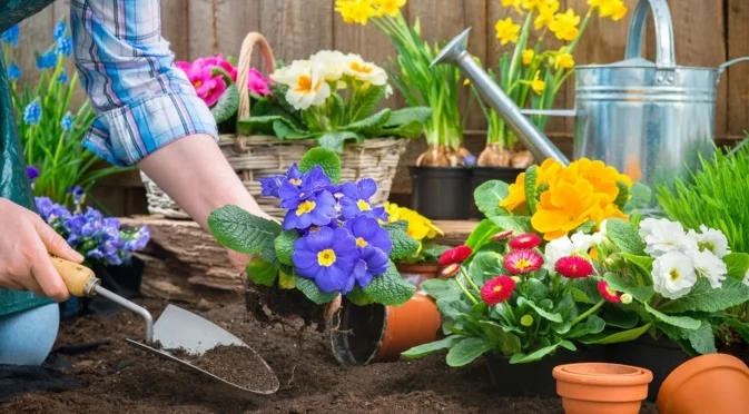 Какво цвете трябва да засадите в градината си според месеца ви на раждане