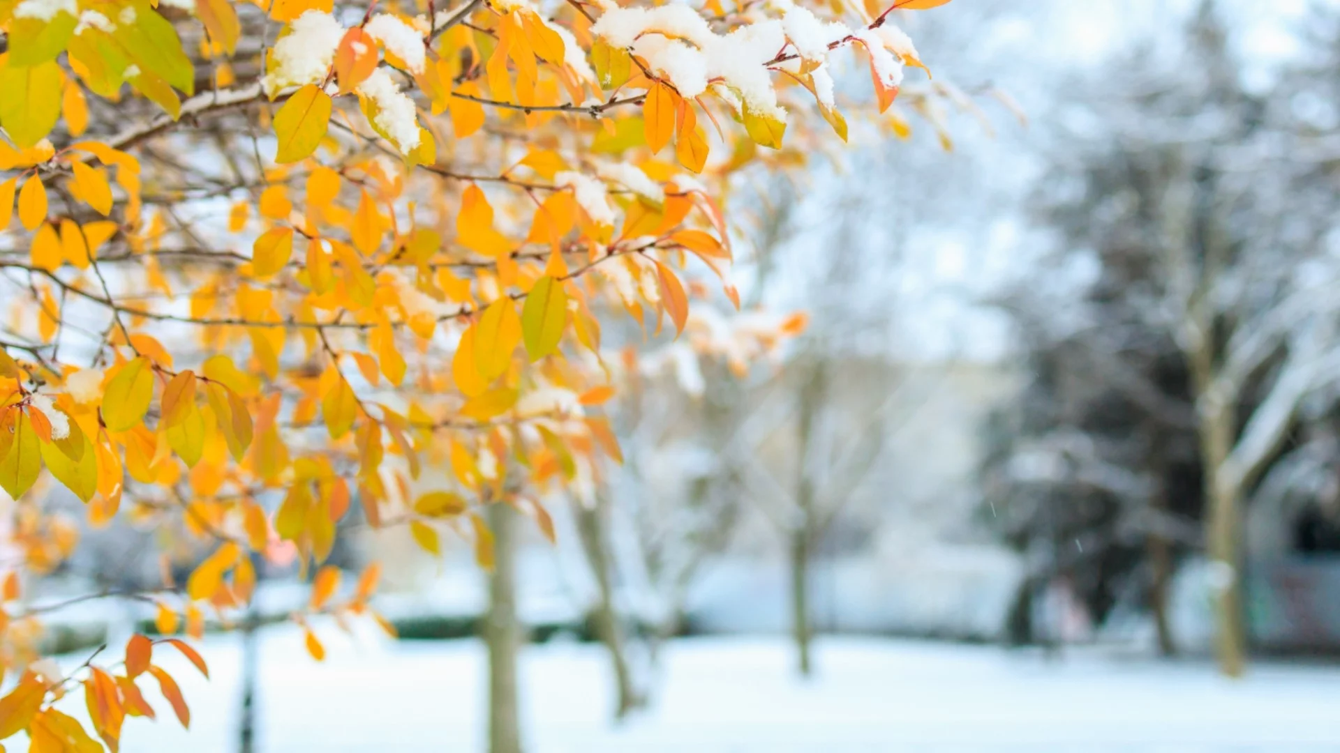 Прогноза за времето - 30 ноември 2025 г. (неделя)