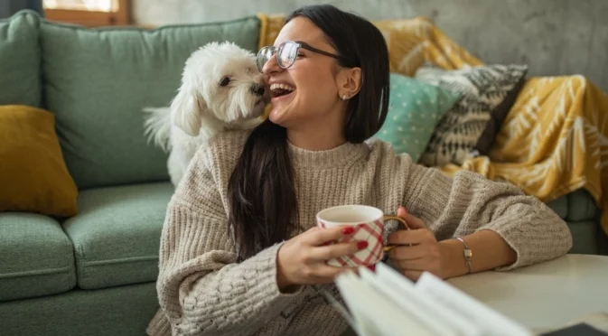 Седмична прогноза за времето за 1-7 декември 2025 г. 