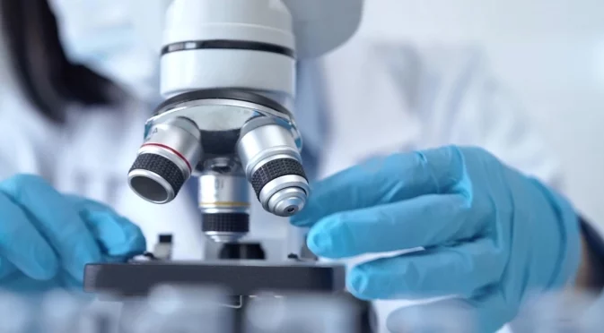 Откриха как да "подмладяват" кръвните стволови клетки