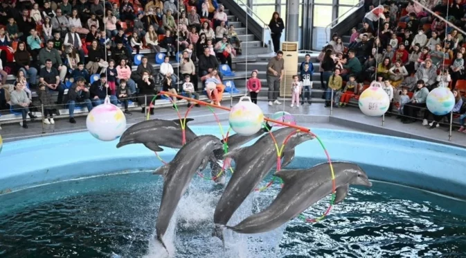 Делфинариум Варна с безплатни представления за децата за Коледа