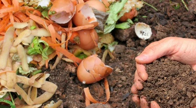 Грешката, която трябва да се избягва през зимата с компоста си