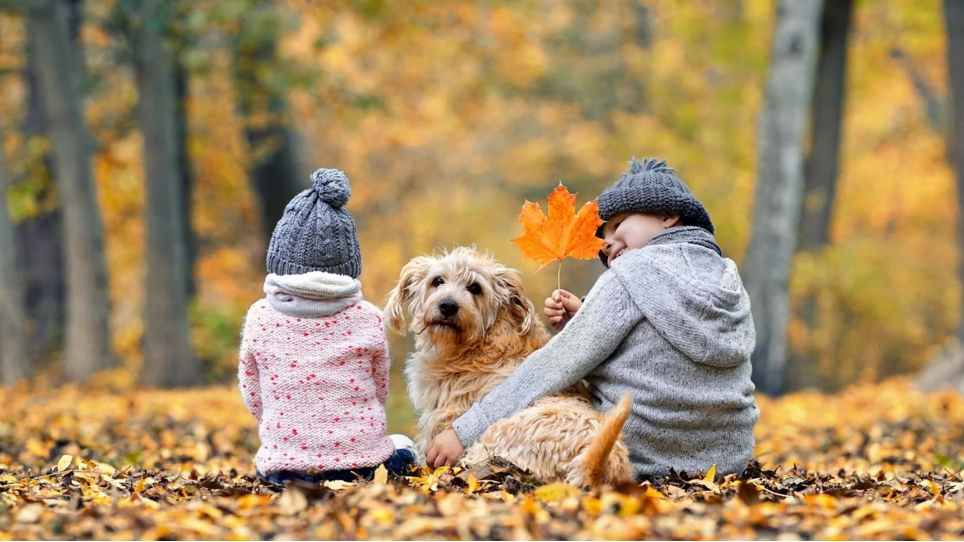 Прогноза за времето - 3 декември 2025 г. (сряда)