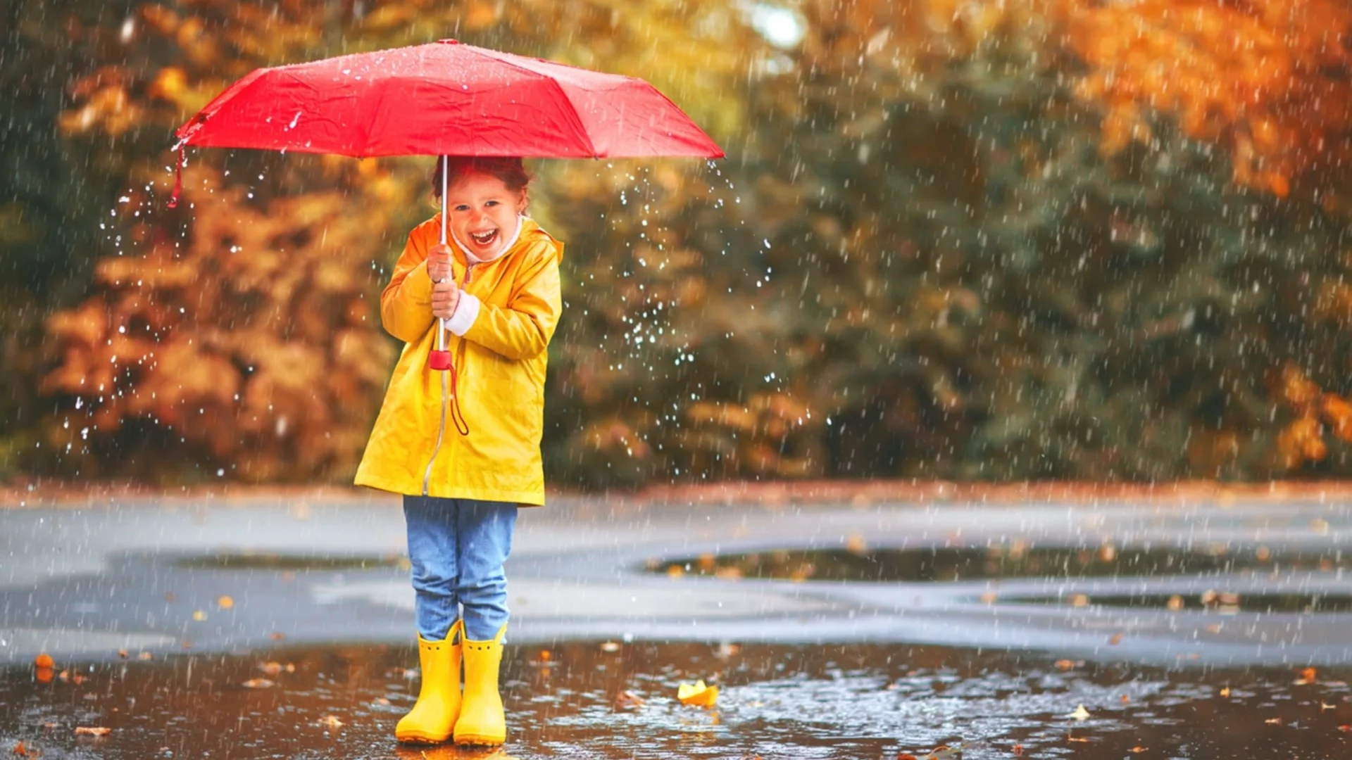 Времето утре - 4 декември 2025 г.