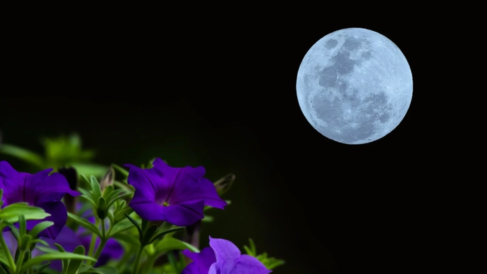 Пълнолуние в Близнаци на 5 декември: Какво ще ни донесе