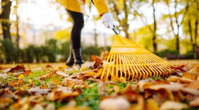 Направете това с тревата преди да настъпят сланите