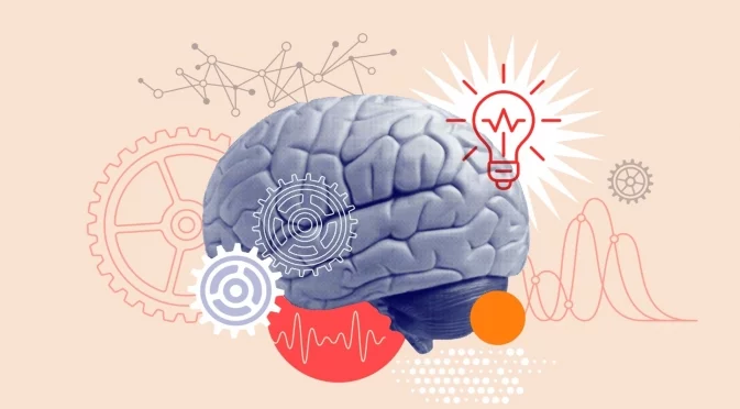 Как мозъкът ни генерира достатъчно електричество, за да захрани крушка