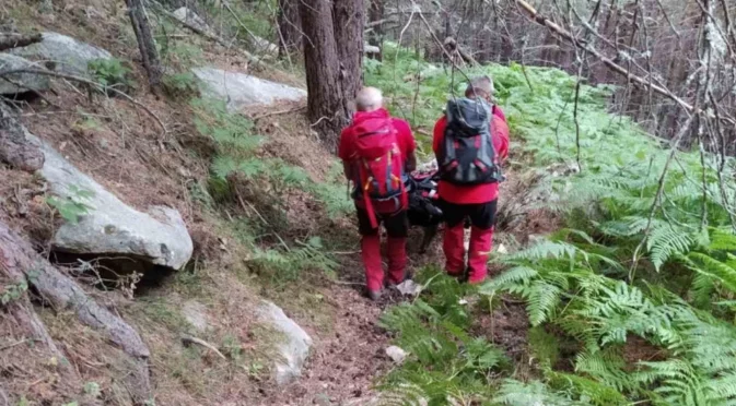 Загубили се в гората: Откриха двама мъже след спасителна акция