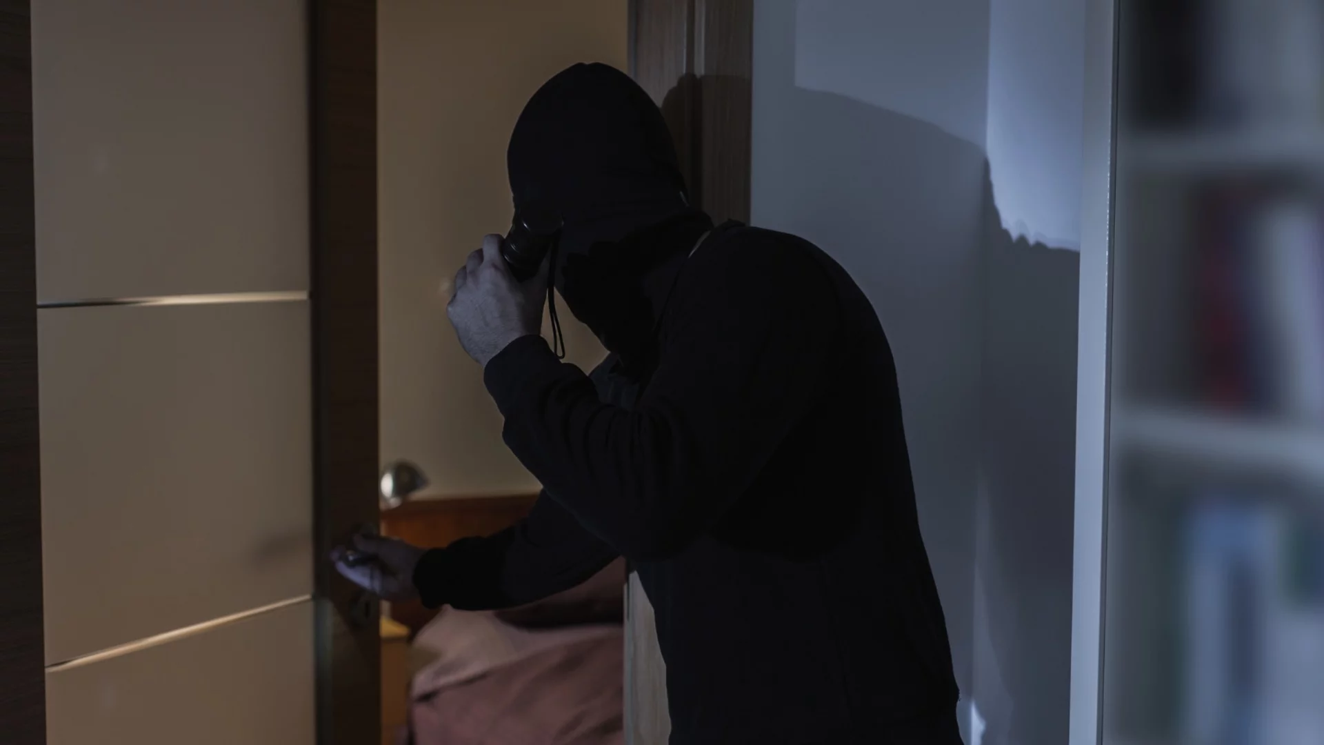 Крадец на картини се сдоби с обвинение