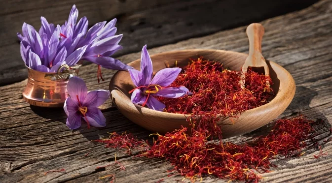 Ракия с шафран? Родопите пионер в отглеждането на "червеното злато"