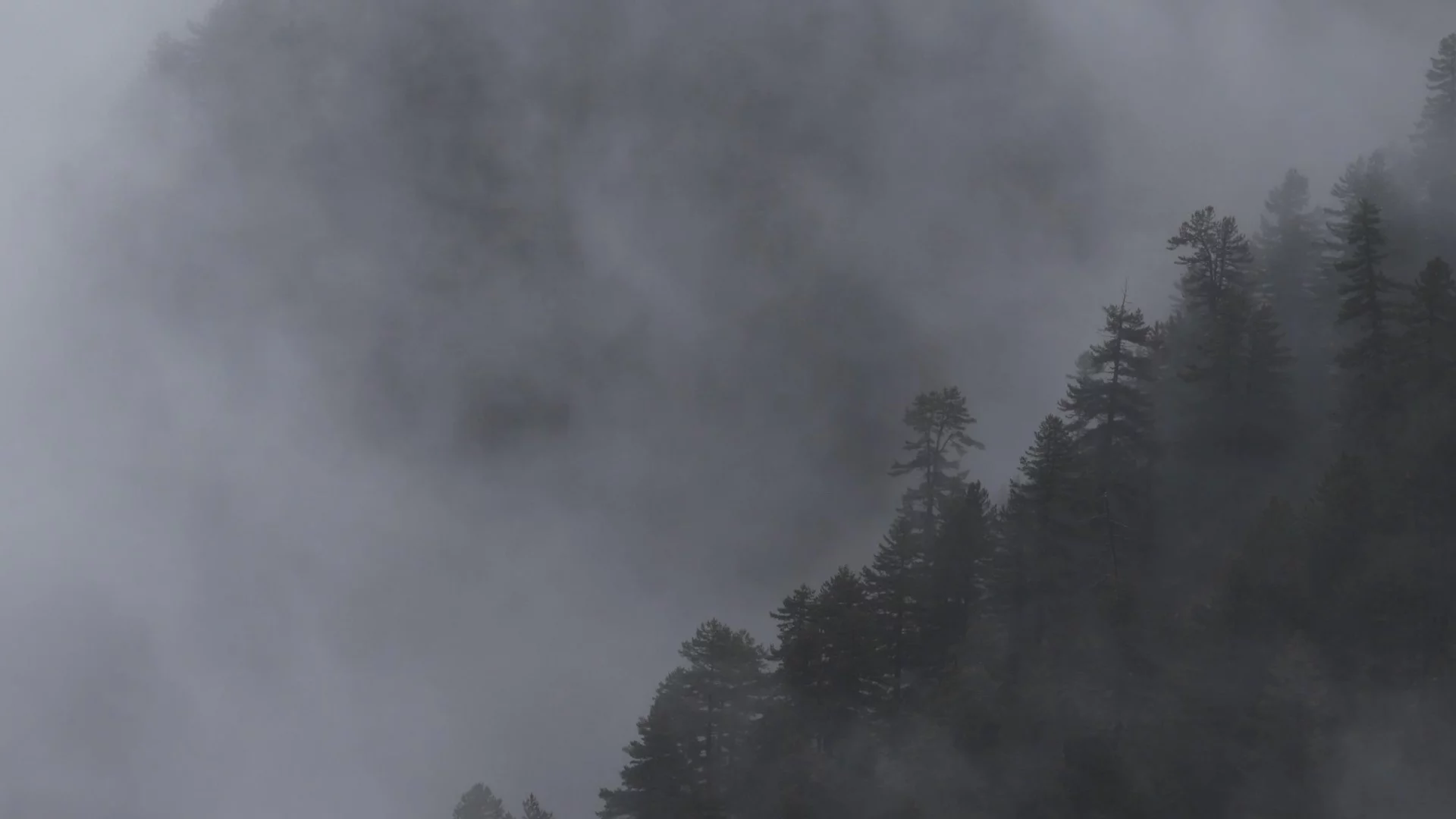 Мъгла, минусови температури и силен вятър: Не е за туризъм в планините