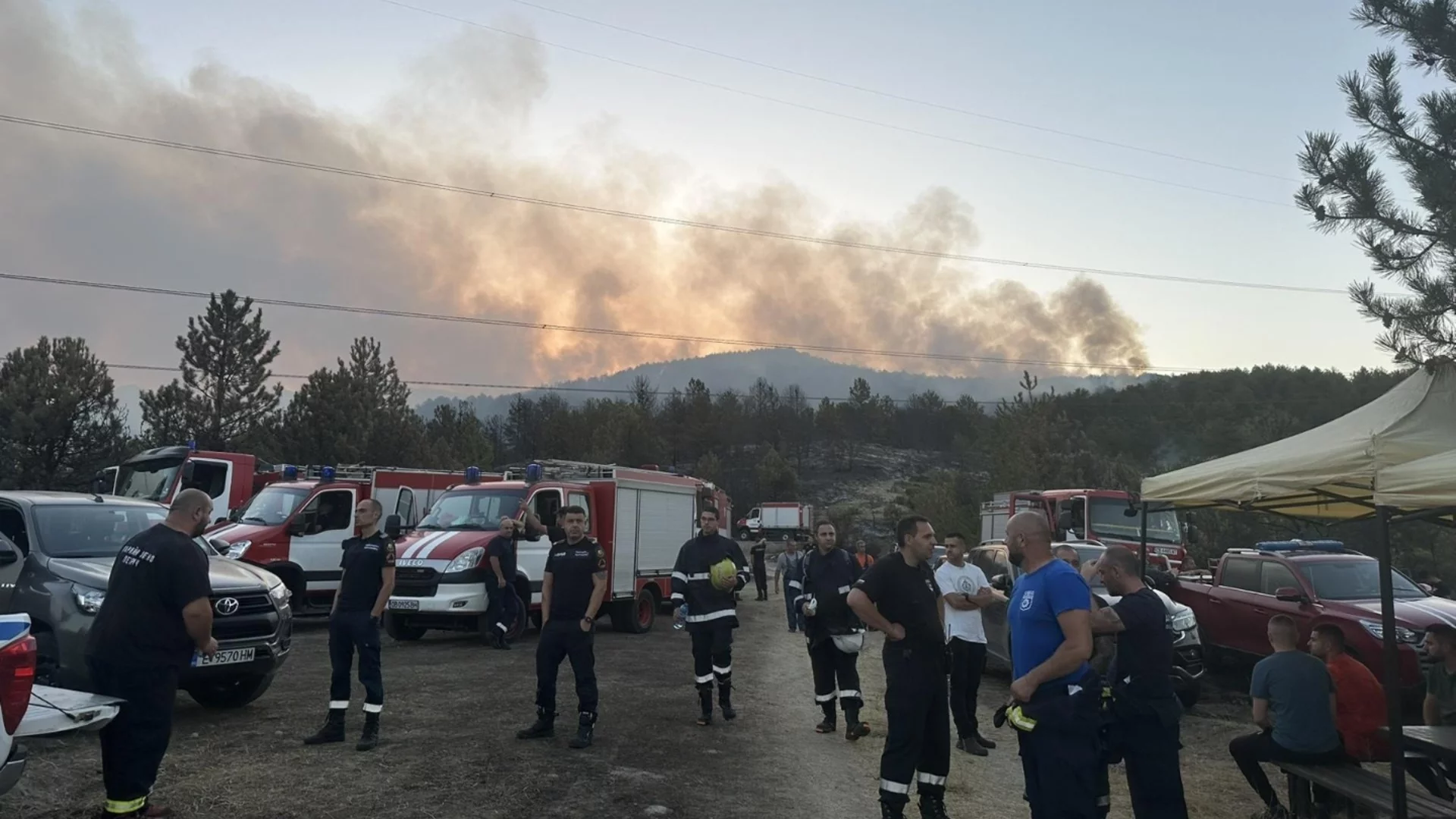 България е сред най-засегнатите от горски пожари страни в ЕС, включително в защитени зони