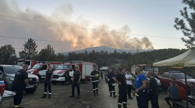 България е сред най-засегнатите от горски пожари страни в ЕС, включително в защитени зони