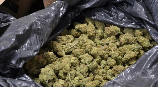 Хванаха пласьор с над 17 килограма марихуана 