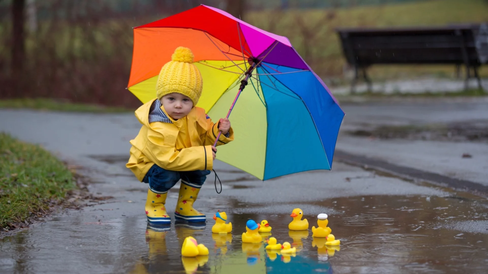 В собствен сос или във вода ще плуват шараните? Проф. Георги Рачев посочи ще вали ли на Никулден 