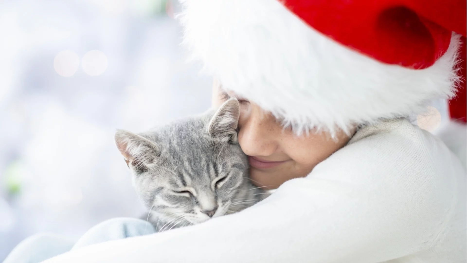 Коледно чудо за три от зодиите