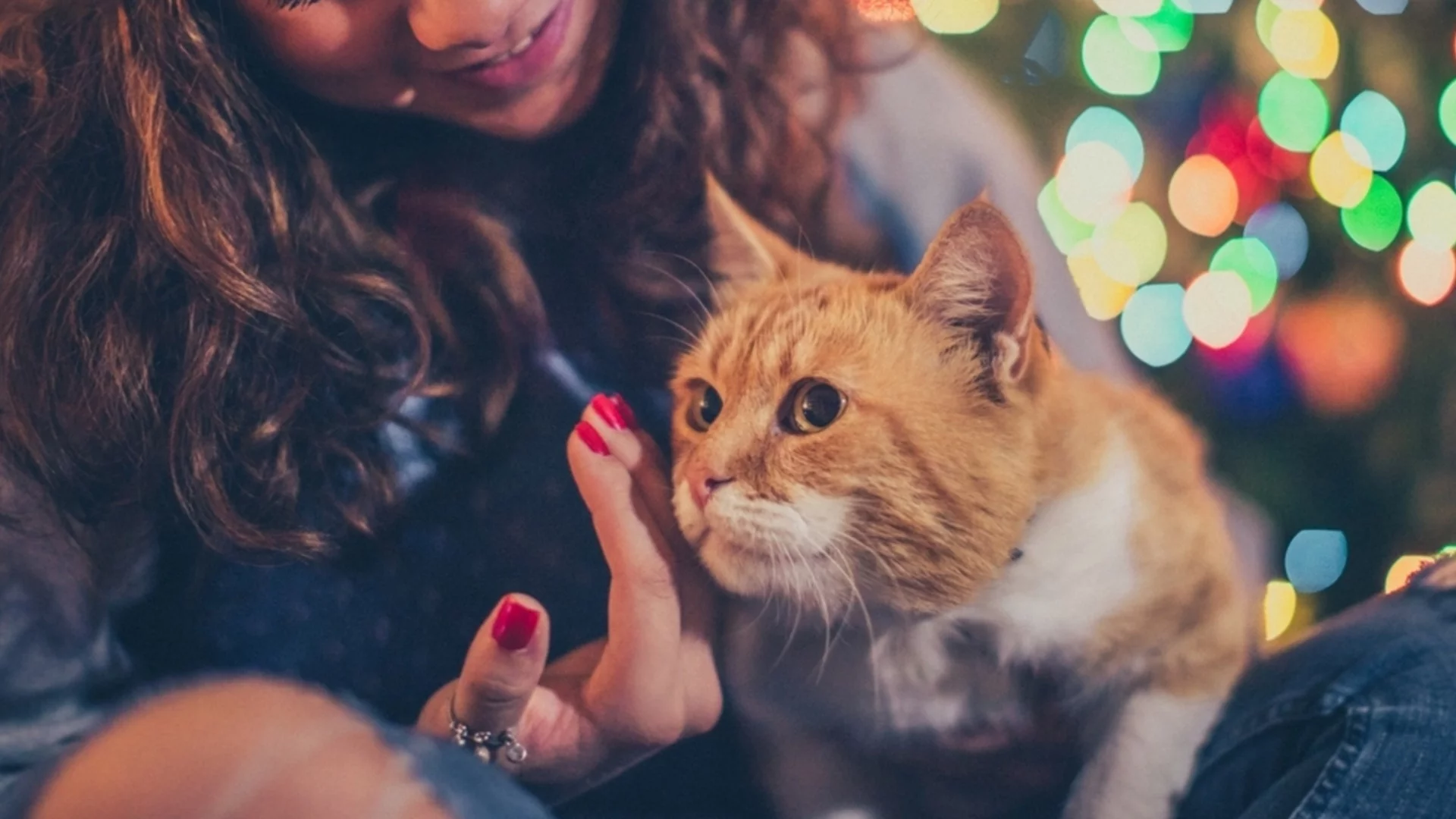 Жълт код за валежи. Времето през уикенда 6-7 декември 2025 г. (КАРТА)