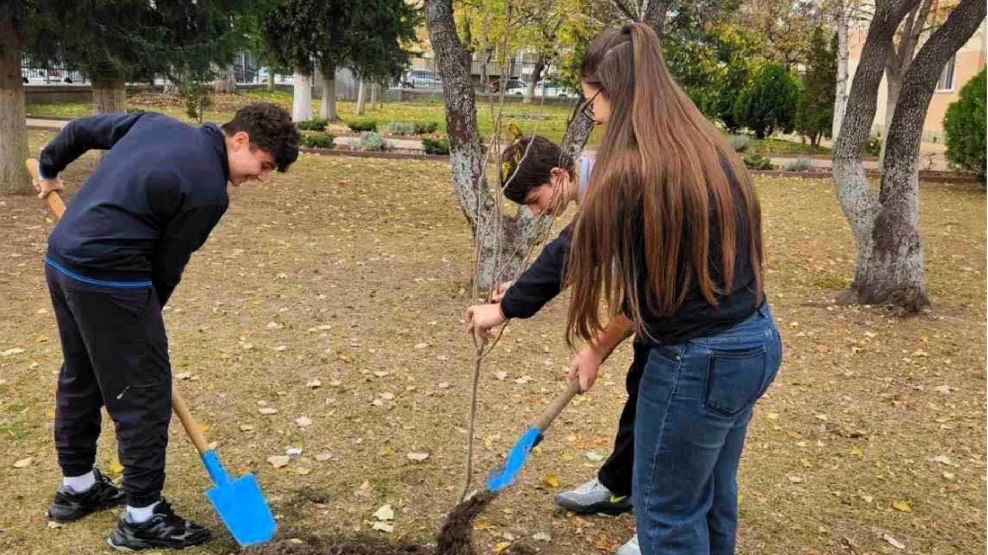 Повече от 500 фиданки раздаде безвъзмездно община Асеновград