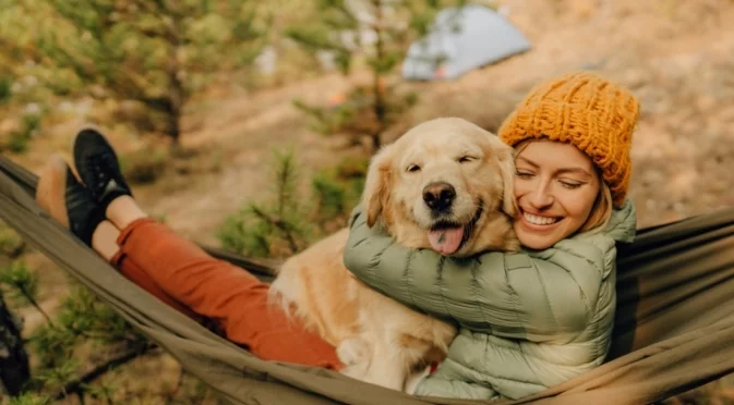 Кучета и котки вместо деца: Осъзнат избор или бягство от отговорност?