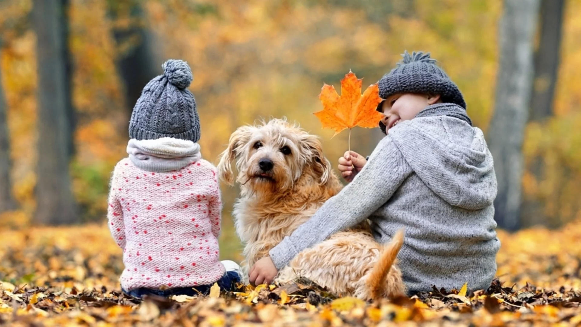 Прогноза за времето - 7 декември 2025 г. (неделя)