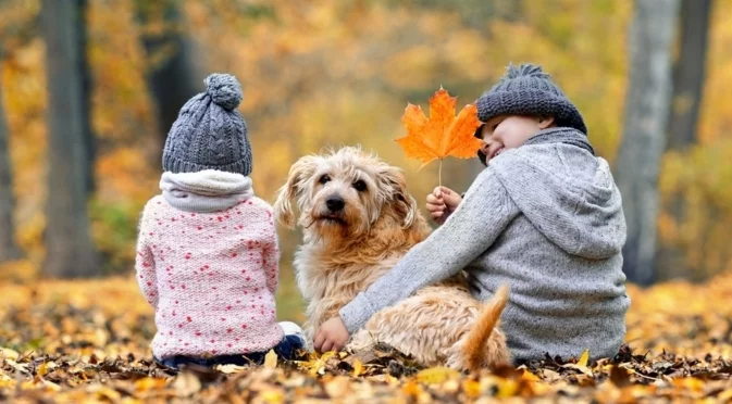 Прогноза за времето - 7 декември 2025 г. (неделя)