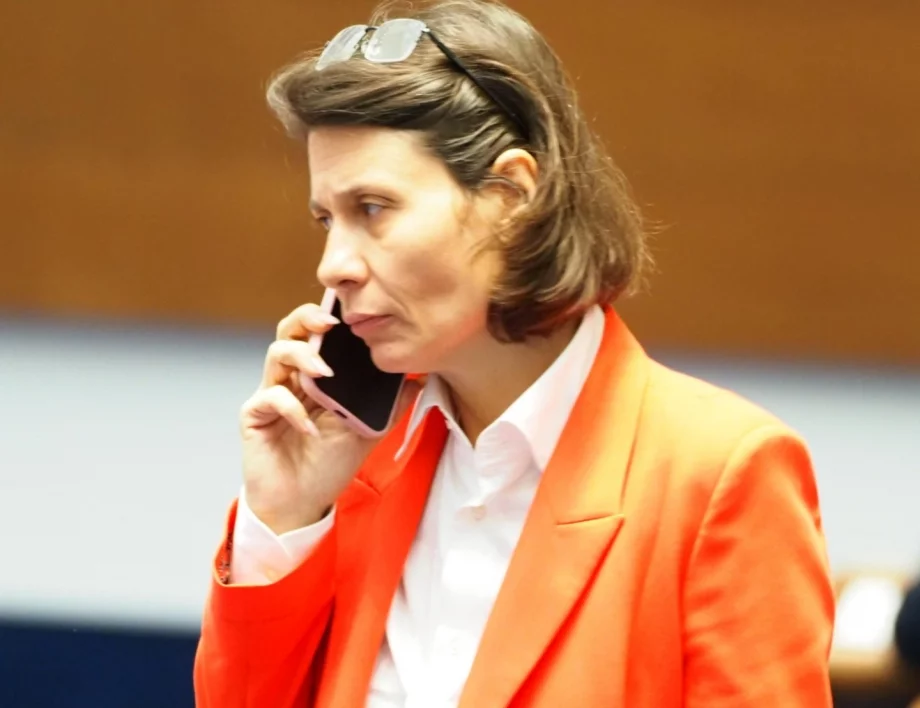 "Масов терор върху хора с ТЕЛК": Белобрадова с твърдения за организацията на контрапротеста на Пеевски