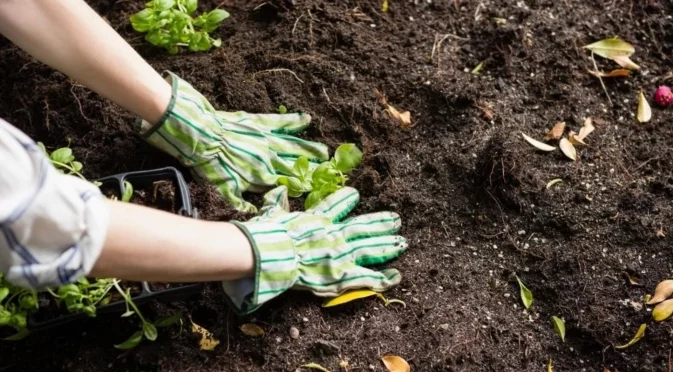 Как да предотвратим почвено уплътняване през студените месеци