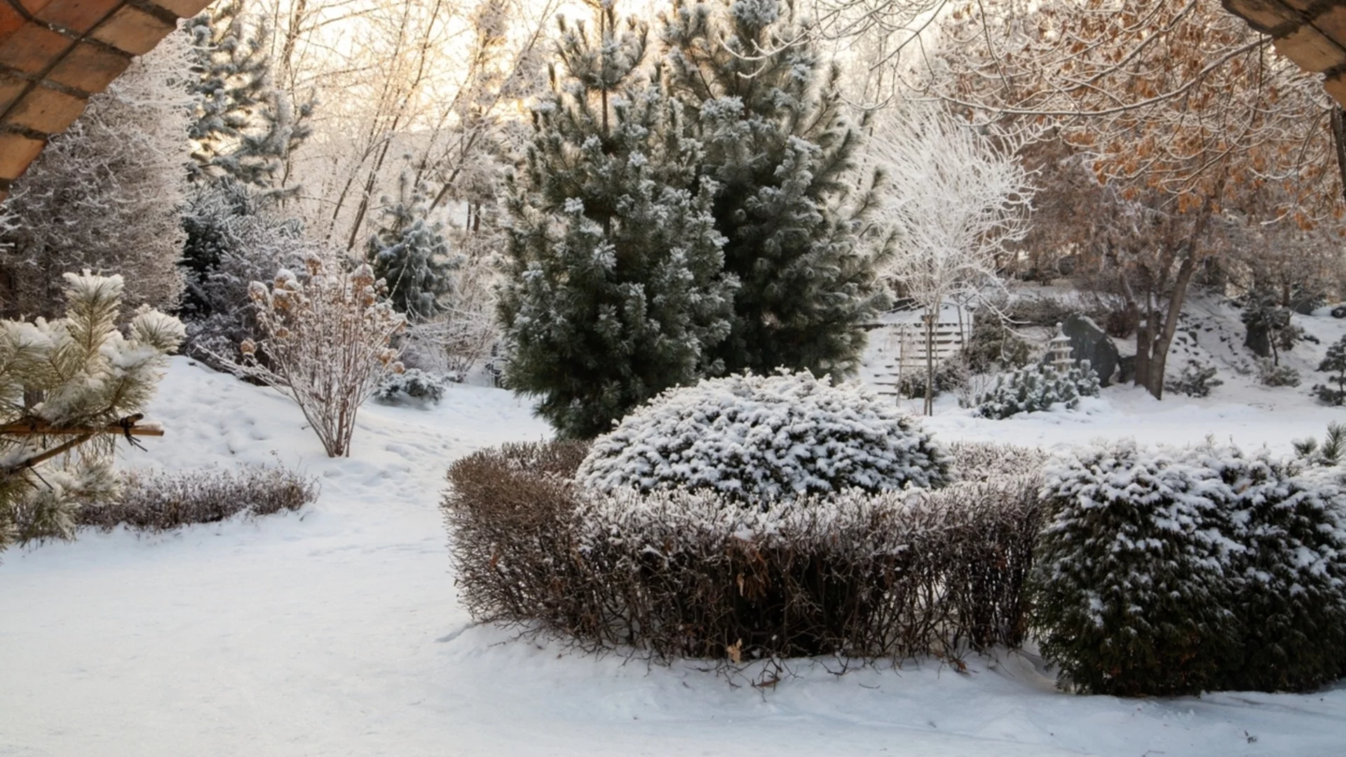 Хитър метод за поддържане на почвата топла през зимните месеци