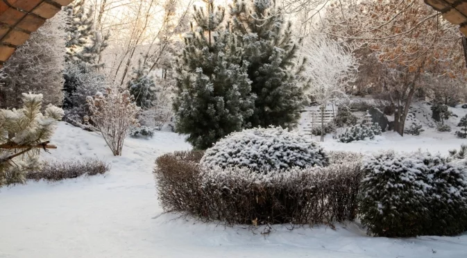 Хитър метод за поддържане на почвата топла през зимните месеци