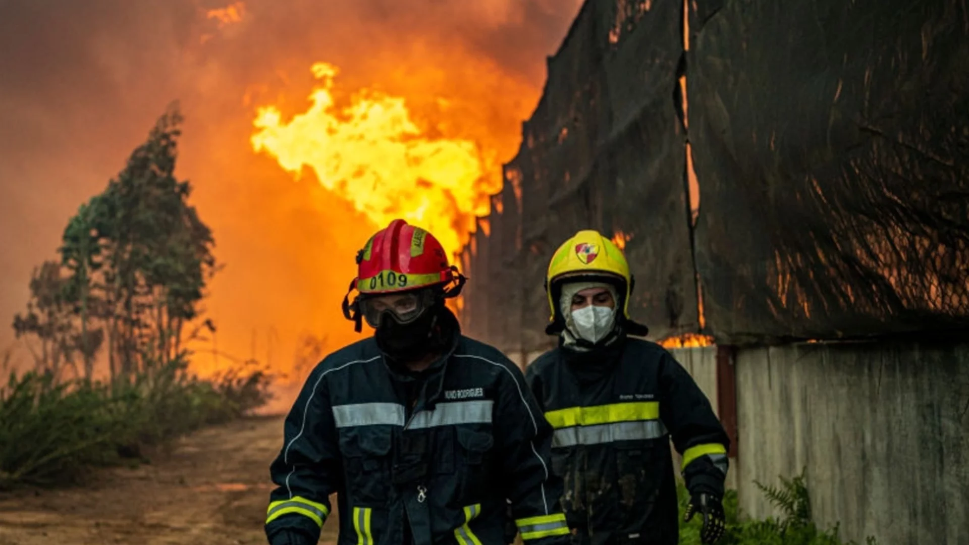 Огнено бедствие: Вижте как горят горите на Австралия (ВИДЕО)