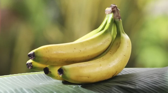 Необичаен феномен: Морето изхвърли хиляди банани по крайбрежието на Съсекс (ВИДЕО)