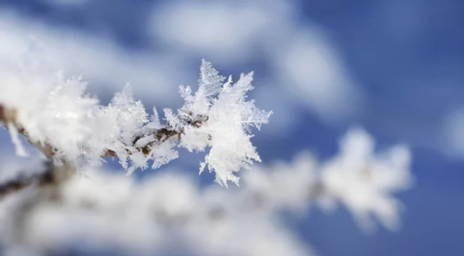 Сняг за Коледа? Николай Василковски издаде каква е прогнозата
